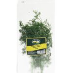 DILL 10G GG HERBS